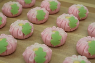 「姫菊」和菓子（上生菓子）　ピンクと白の煉切にヘラで筋を入れて、菊の花を表しました。