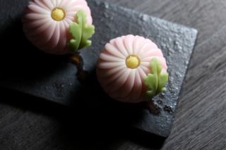 「姫菊」和菓子（上生菓子）　ピンクと白の煉切にヘラで筋を入れて、菊の花を表現しました。
