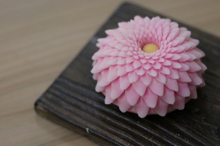 「はさみ菊」和菓子（上生菓子）　ピンクの煉切にたくさん花びらを作り、大輪の菊の花を作りました。